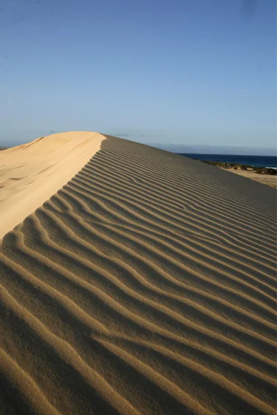 Avrupa Kanarya Adaları fuerteventura — Stok fotoğraf