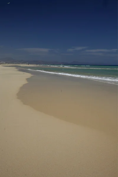 Avrupa Kanarya Adaları fuerteventura — Stok fotoğraf