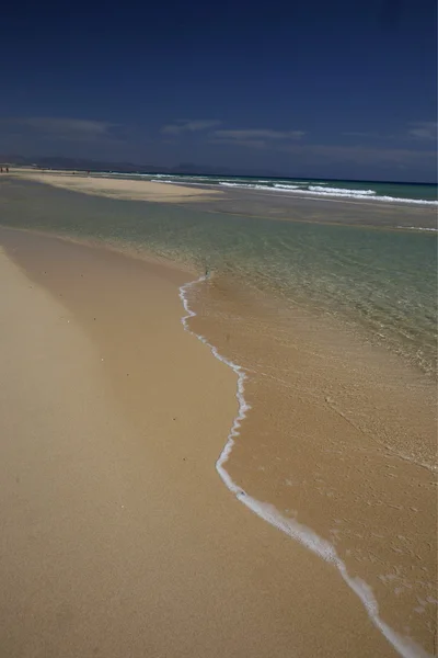 Avrupa Kanarya Adaları fuerteventura — Stok fotoğraf