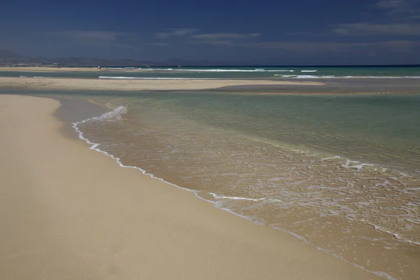 Europa Kanarieöarna fuerteventura — Stockfoto