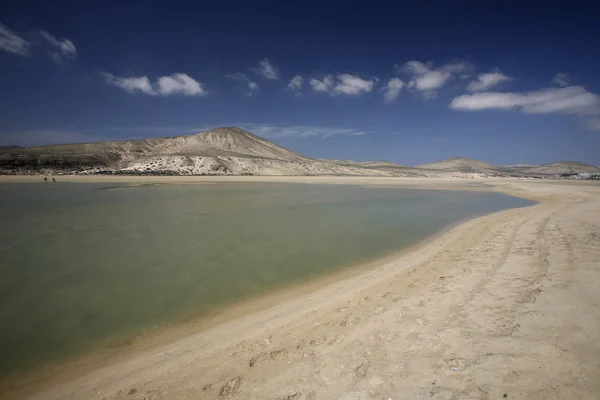 Avrupa Kanarya Adaları fuerteventura — Stok fotoğraf