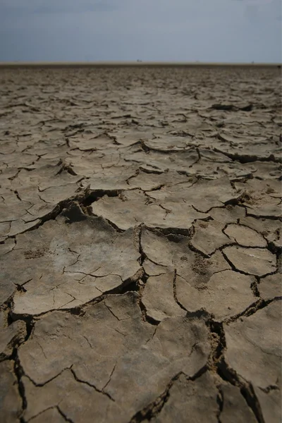 Europäische kanarische inseln fuerteventura — Stockfoto