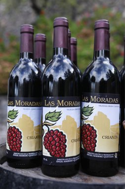 Europe Spian Gran Kanarya 