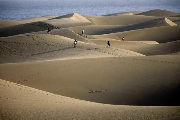 CANARIA DEL GRAN SPAGNA DELL'EUROPA — Foto Stock