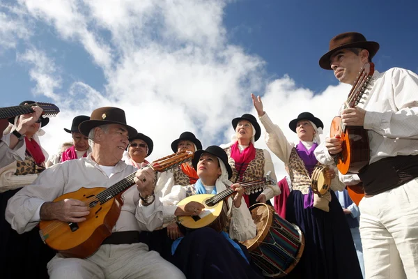 EUROPA GRÃO ESPÍSICA CANARIA — Fotografia de Stock