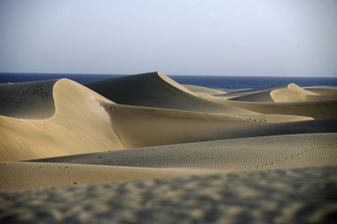 Europe Spian Gran Kanarya