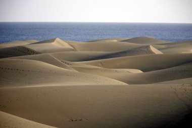 Europe Spian Gran Kanarya