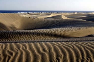 Europe Spian Gran Kanarya