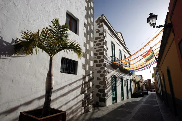 CANARIA DEL GRAN SPAGNA DELL'EUROPA — Foto Stock