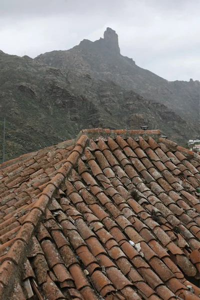 CANARIA DEL GRAN SPAGNA DELL'EUROPA — Foto Stock