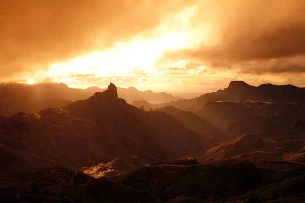 EUROPA GRÃO ESPÍSICA CANARIA — Fotografia de Stock