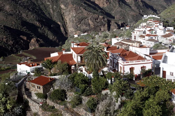 CANARIA DEL GRAN SPAGNA DELL'EUROPA — Foto Stock