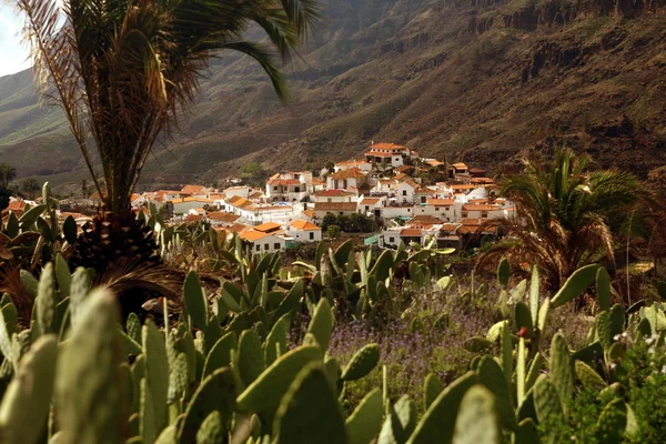 Europa Spian Gran Canaria — Stockfoto