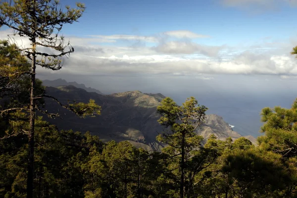 Ett Landskap Den Mountain Regionen Tamadaba Centrum Spaniens Kanarieöarna Atlanten — Stockfoto