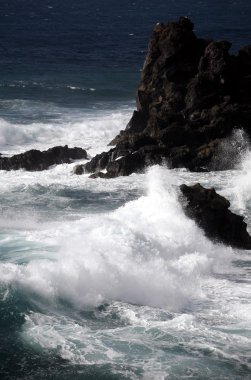 Europe Kanarya Adaları Lanzarote