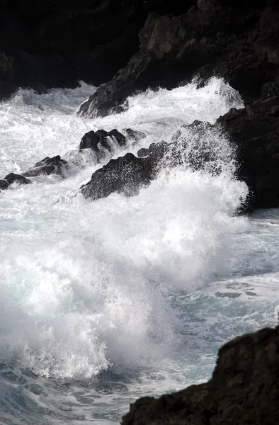 欧洲加那利群岛兰萨罗特岛 — 图库照片