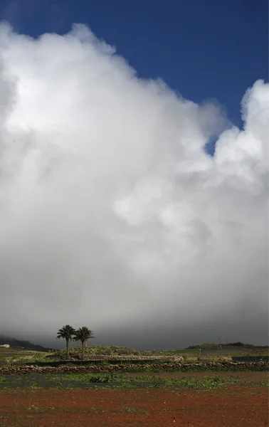 欧洲加那利群岛兰萨罗特岛 — 图库照片