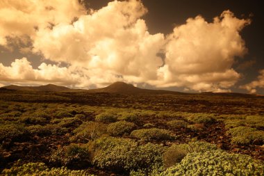 Europe Kanarya Adaları Lanzarote