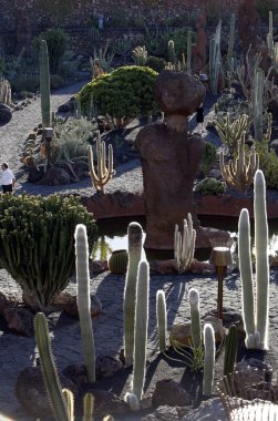 Europe Kanarya Adaları Lanzarote