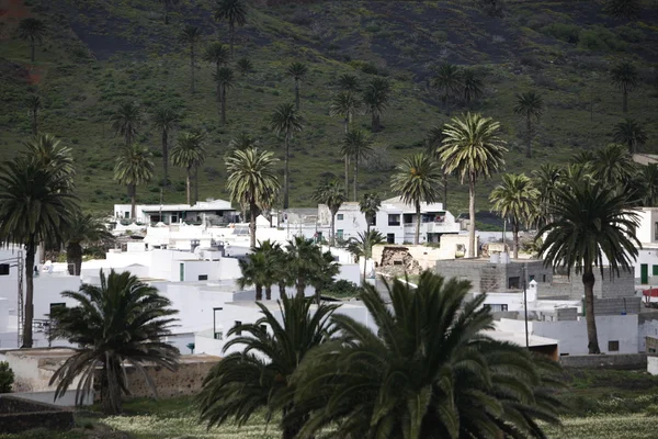 Europe Kanarya Adaları Lanzarote — Stok fotoğraf