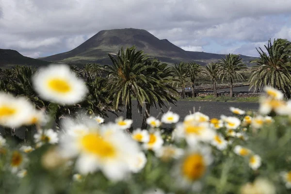 Europa Kanarieöarna Lanzarote — Stockfoto