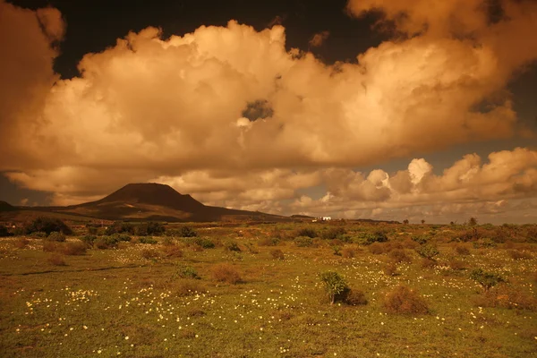 EUROPE CANARY ISLANDS LANZAROTE — Stock Photo, Image