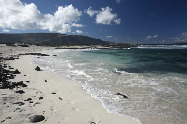 Europie Wyspy Kanaryjskie Lanzarote — Zdjęcie stockowe