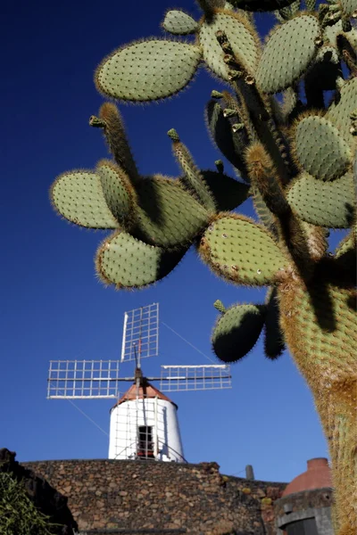 Europe Kanarya Adaları Lanzarote — Stok fotoğraf