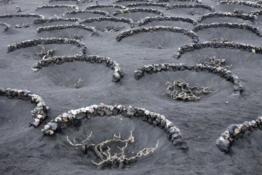 Europe Kanarya Adaları Lanzarote