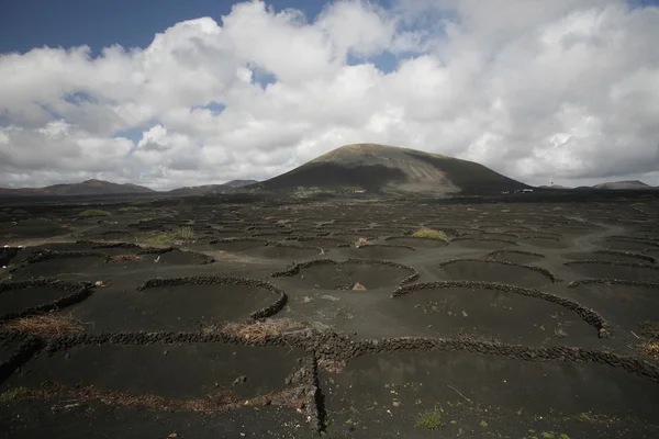 Europe Kanarya Adaları Lanzarote — Stok fotoğraf