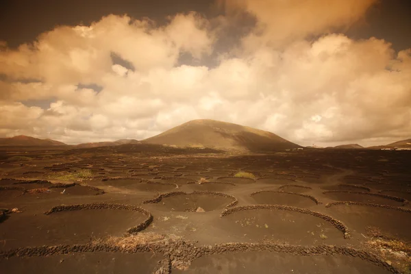 ILHAS CANÁRIAS DA EUROPA LANZAROTE — Fotografia de Stock