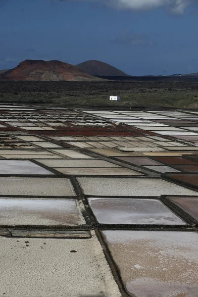 Europe Kanarya Adaları Lanzarote — Stok fotoğraf