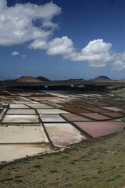 ISOLE CANARIE DELL'EUROPA LANZAROTE — Foto Stock