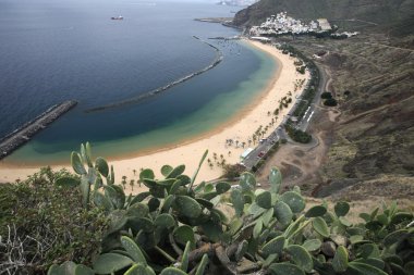 İspanya Kanarya Adaları Tenerife