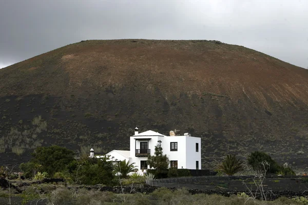 EUROPE CANARY ISLANDS LANZAROTE — Stock Photo, Image