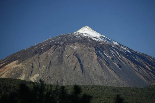 SPAIN CANARY ISLANDS TENERIFE — Stock Photo, Image