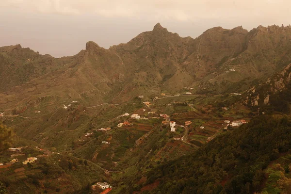 สเปน แคนยอน ISLANDS TENERIFE — ภาพถ่ายสต็อก