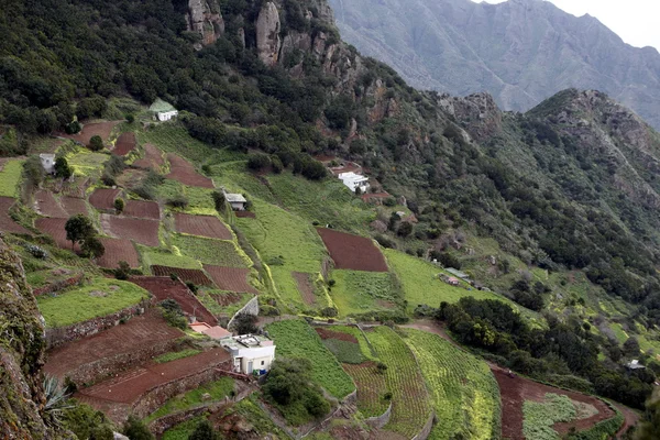 Španělsko Kanárské ostrovy Tenerife — Stock fotografie