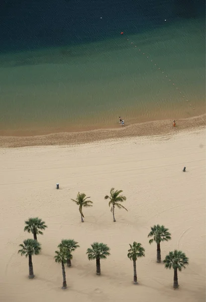 Spanien Kanarieöarna Teneriffa — Stockfoto