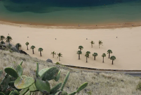 ESPAGNE ÎLES CANaries TENERIFE — Photo