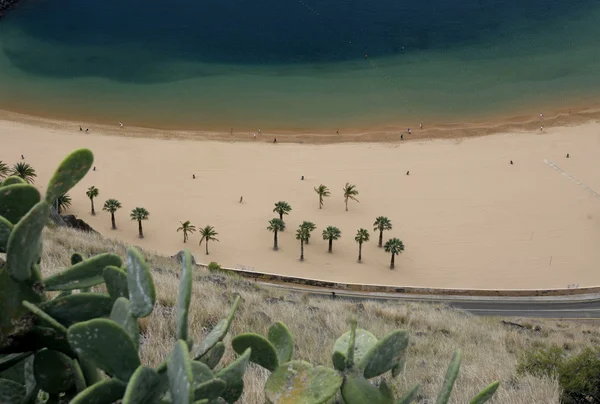 Spanyolország-Kanári-szigetek Tenerife — Stock Fotó