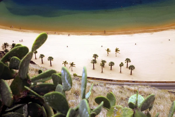 SPAIN CANARY ISLANDS TENERIFE — Stock Photo, Image