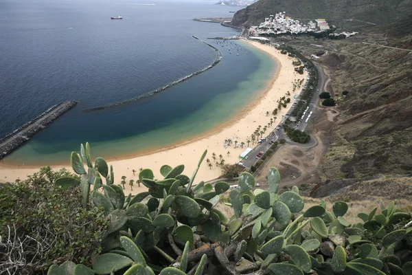 Spanje Canarische eilanden Tenerife — Stockfoto