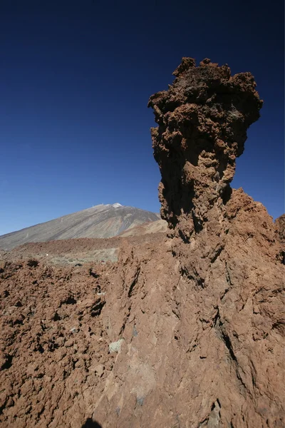 Spanyolország-Kanári-szigetek Tenerife — Stock Fotó