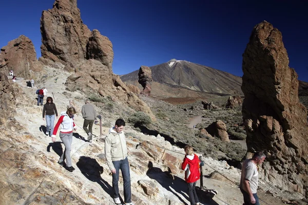 Spanien Kanarieöarna Teneriffa — Stockfoto