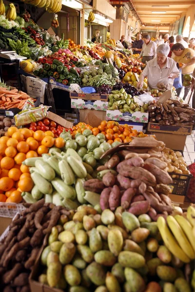 SPAIN CANARY ISLANDS TENERIFE — Stock Photo, Image