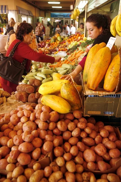 SPAIN CANARY ISLANDS TENERIFE — Stock Photo, Image