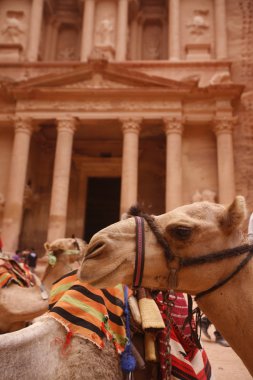 Asya Orta Doğu Jordan Petra