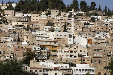 Asya Orta Doğu Jordan Salt