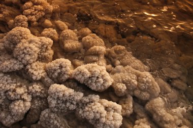 Asya Orta Doğu Jordan Deat deniz